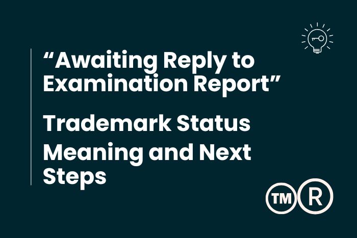 Awaiting Reply to Examination Report meaning