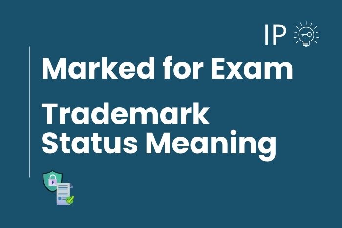 Marked for Exam – Trademark Status Meaning